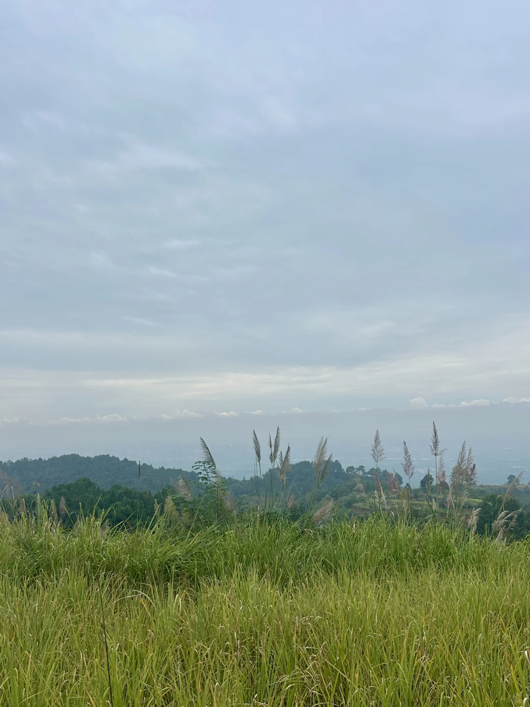 去见⛰️2025年10月26日 金堂梨花沟