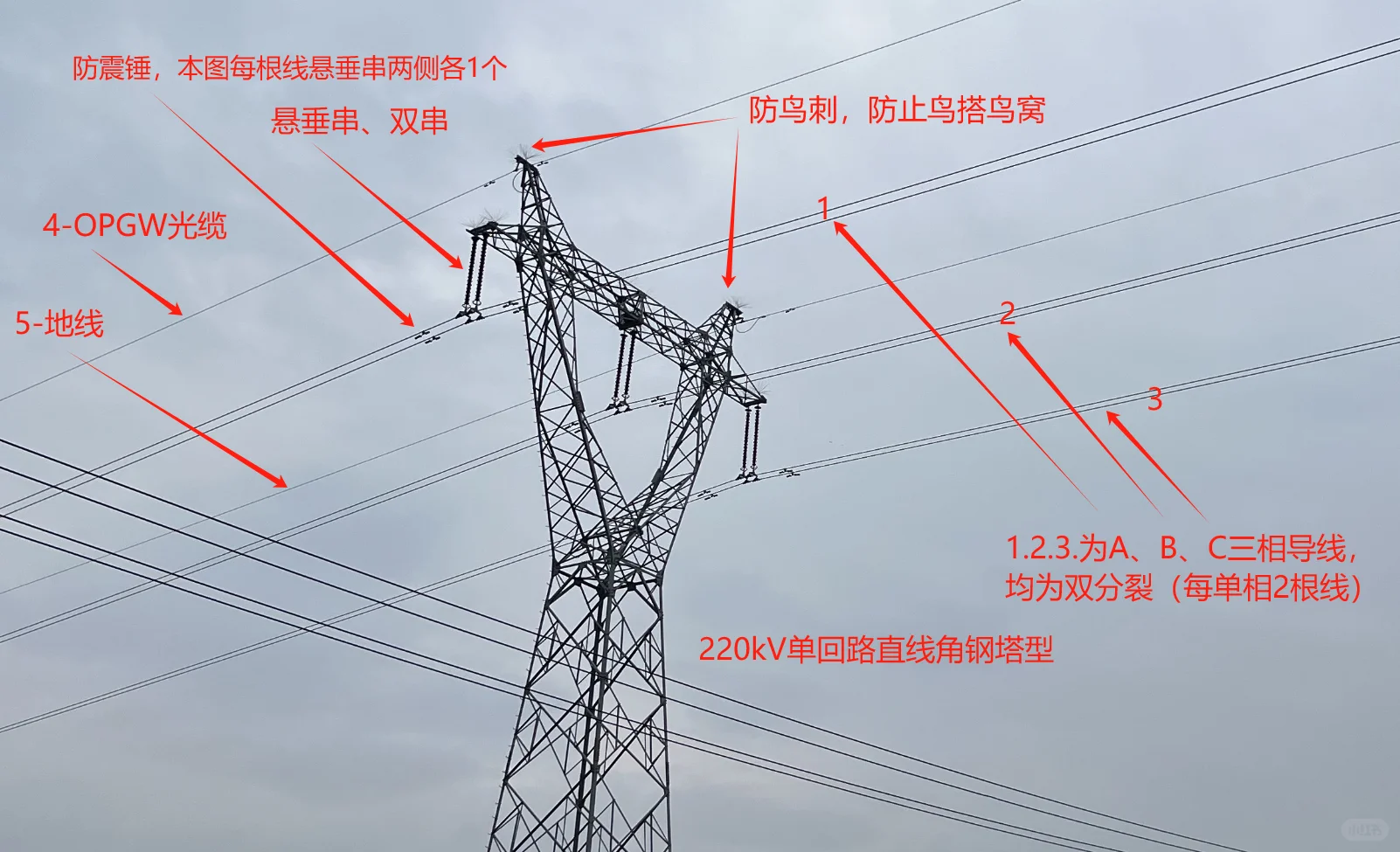 220kV直线塔型细节～