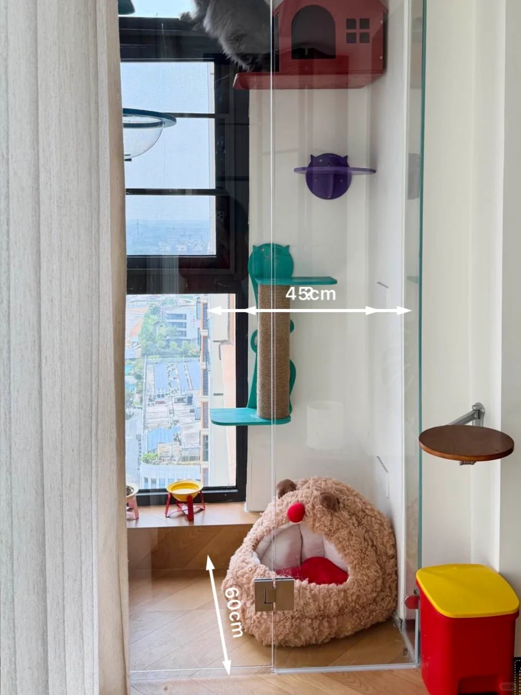 ?✨0.5平玻璃猫房 小空间改造✅附尺寸?