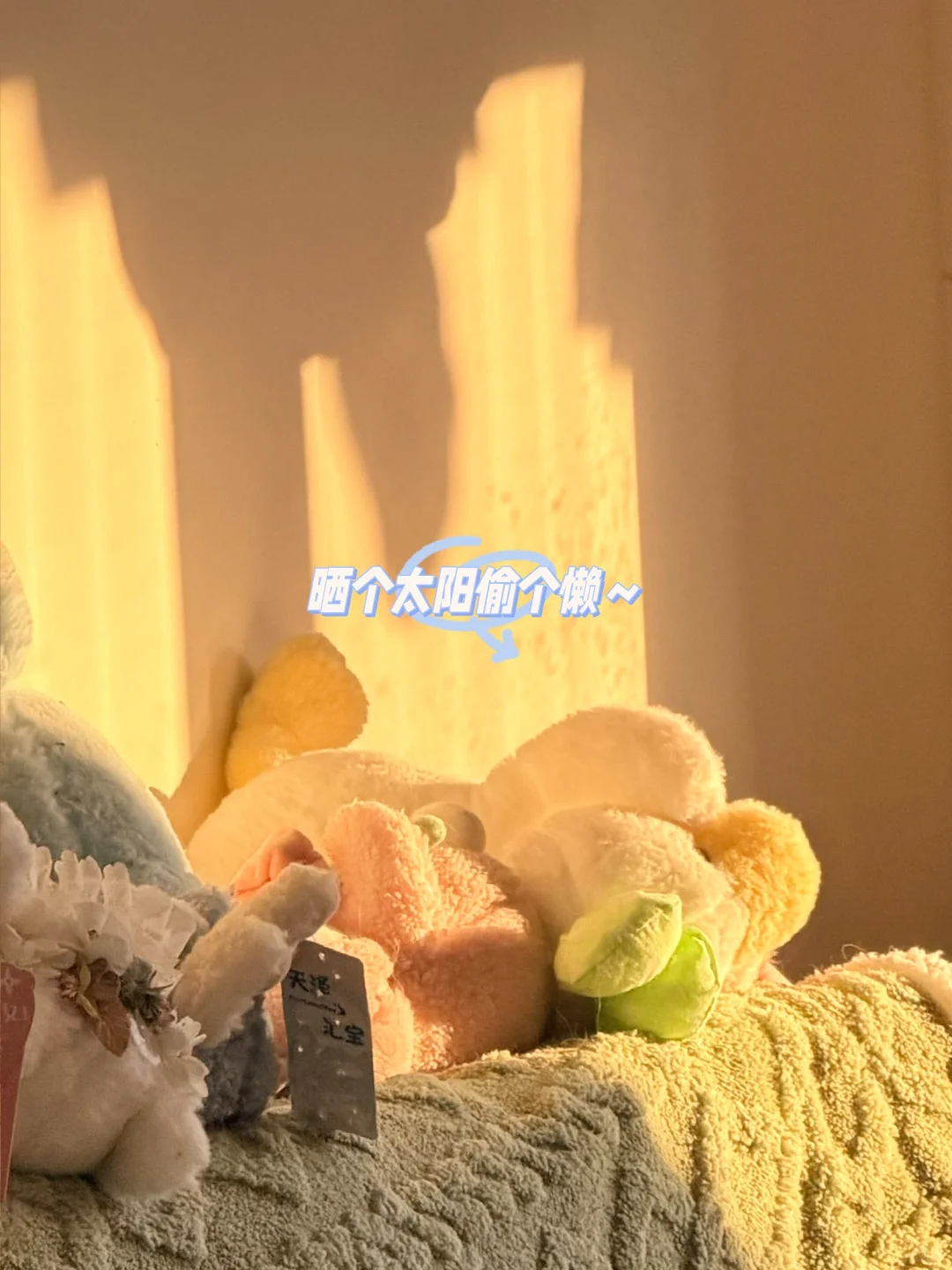 真的是发疯减肥