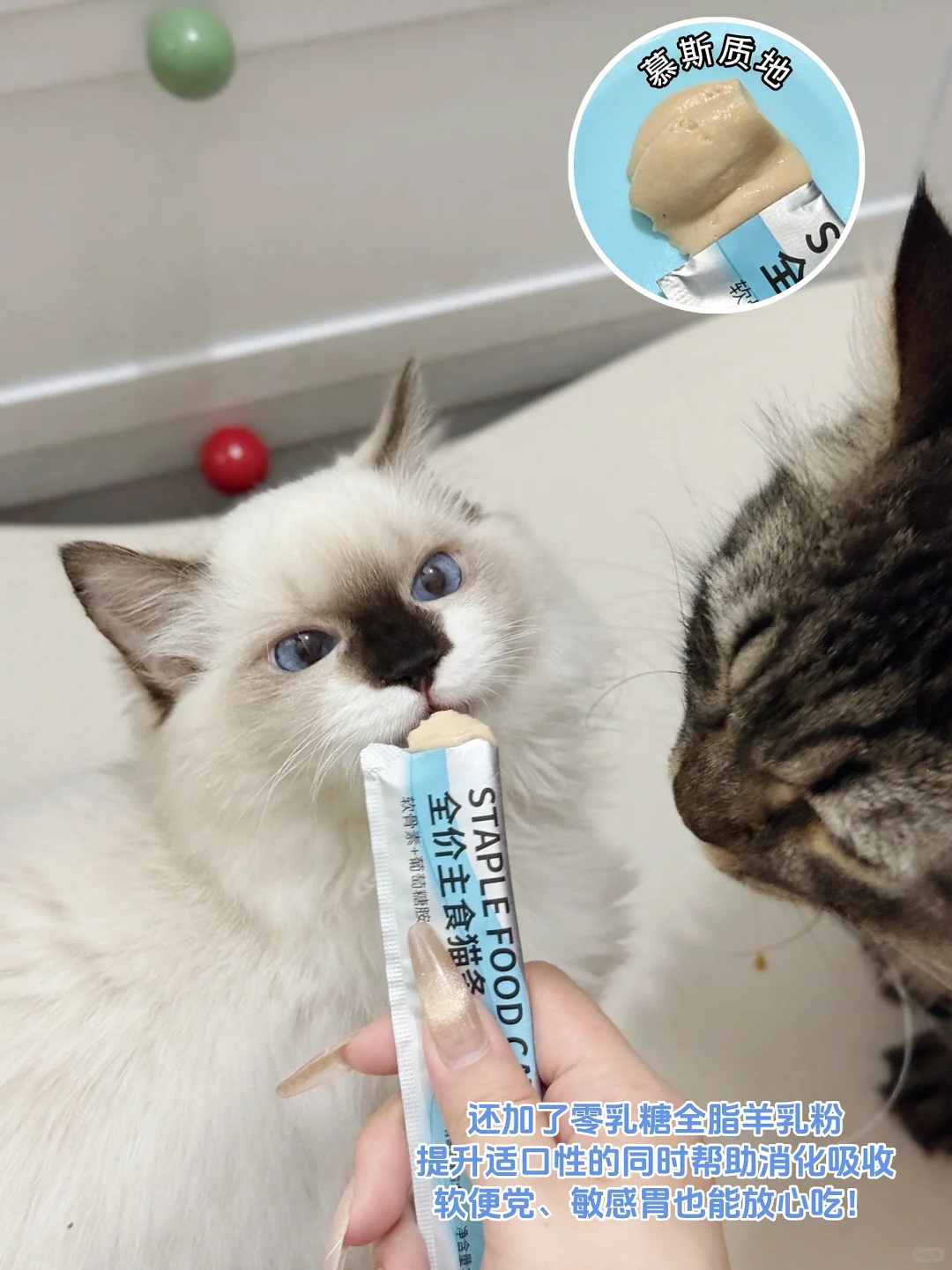 怒囤N+次!从幼到老都在投喂的的功能性猫条