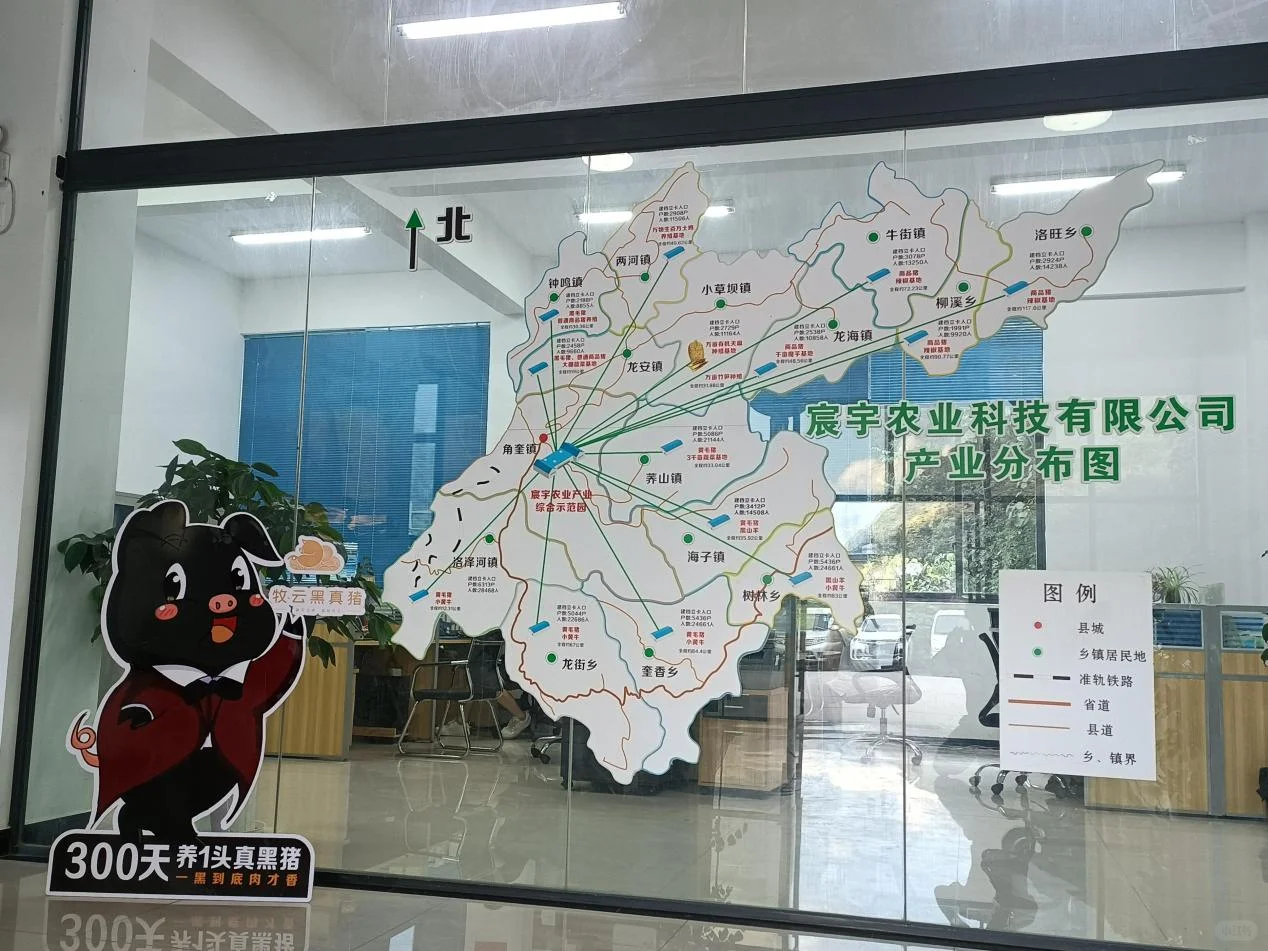 这篇文章告诉你市面有哪些黑猪品牌值得信赖