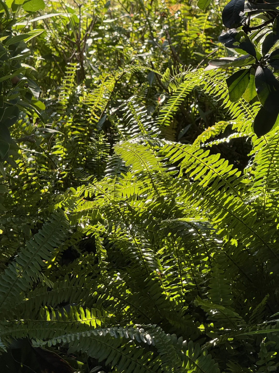 接到税局的电话天塌了