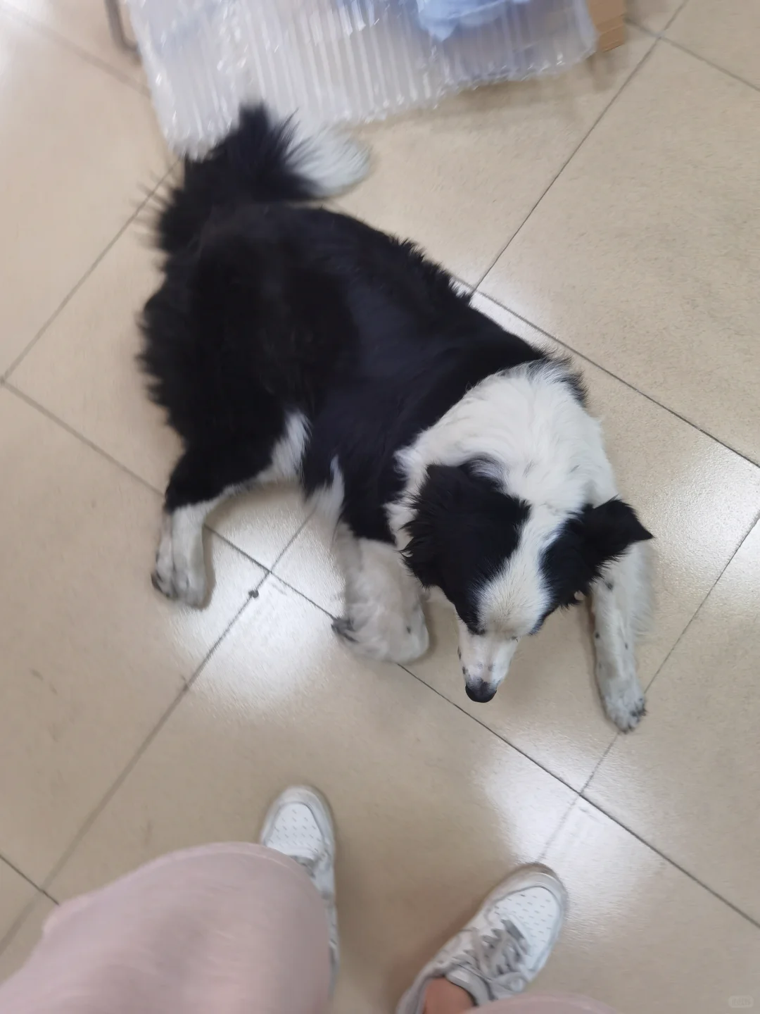 领肯会展在广州