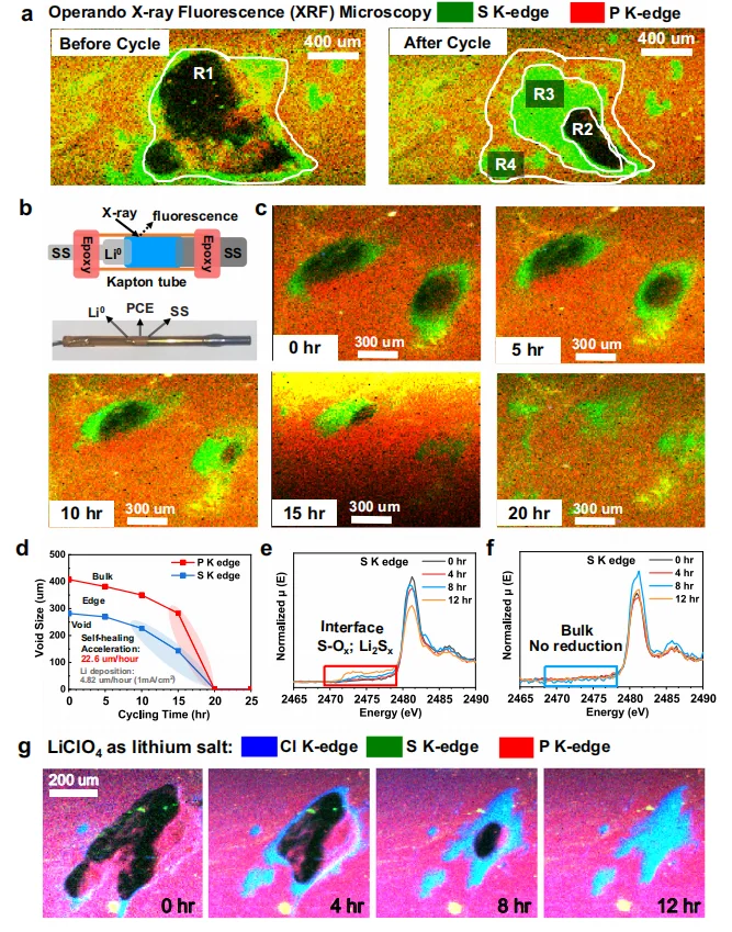 一种用于锂金属电池自修复塑料陶瓷电解质