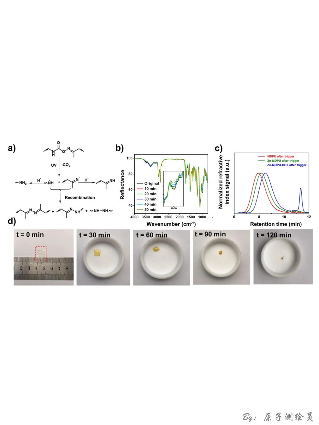 AM：“一石五鸟”的Zn-MDPU弹性体