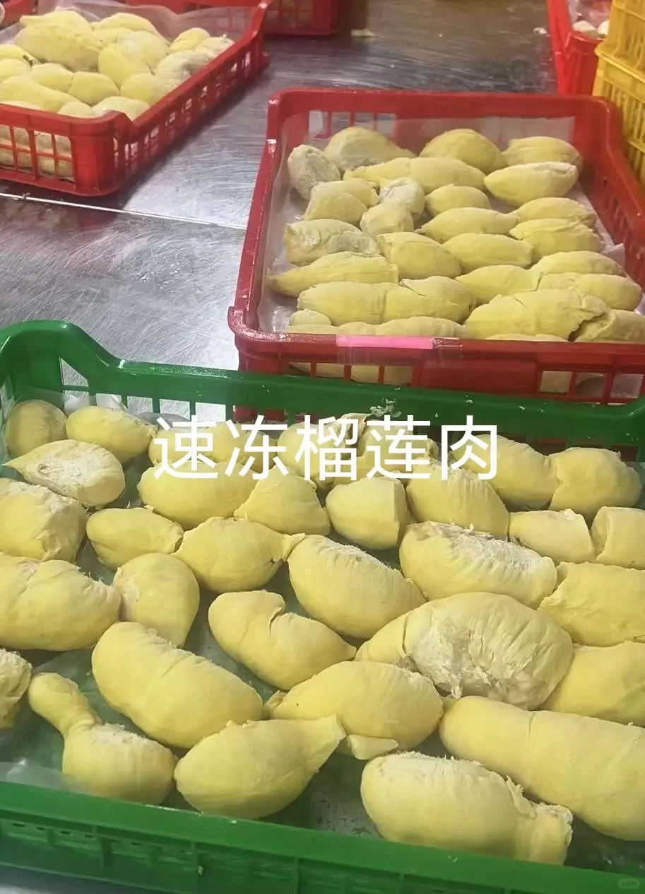 ?速冻蔬菜工厂大公开！让生鲜蔬菜更方便