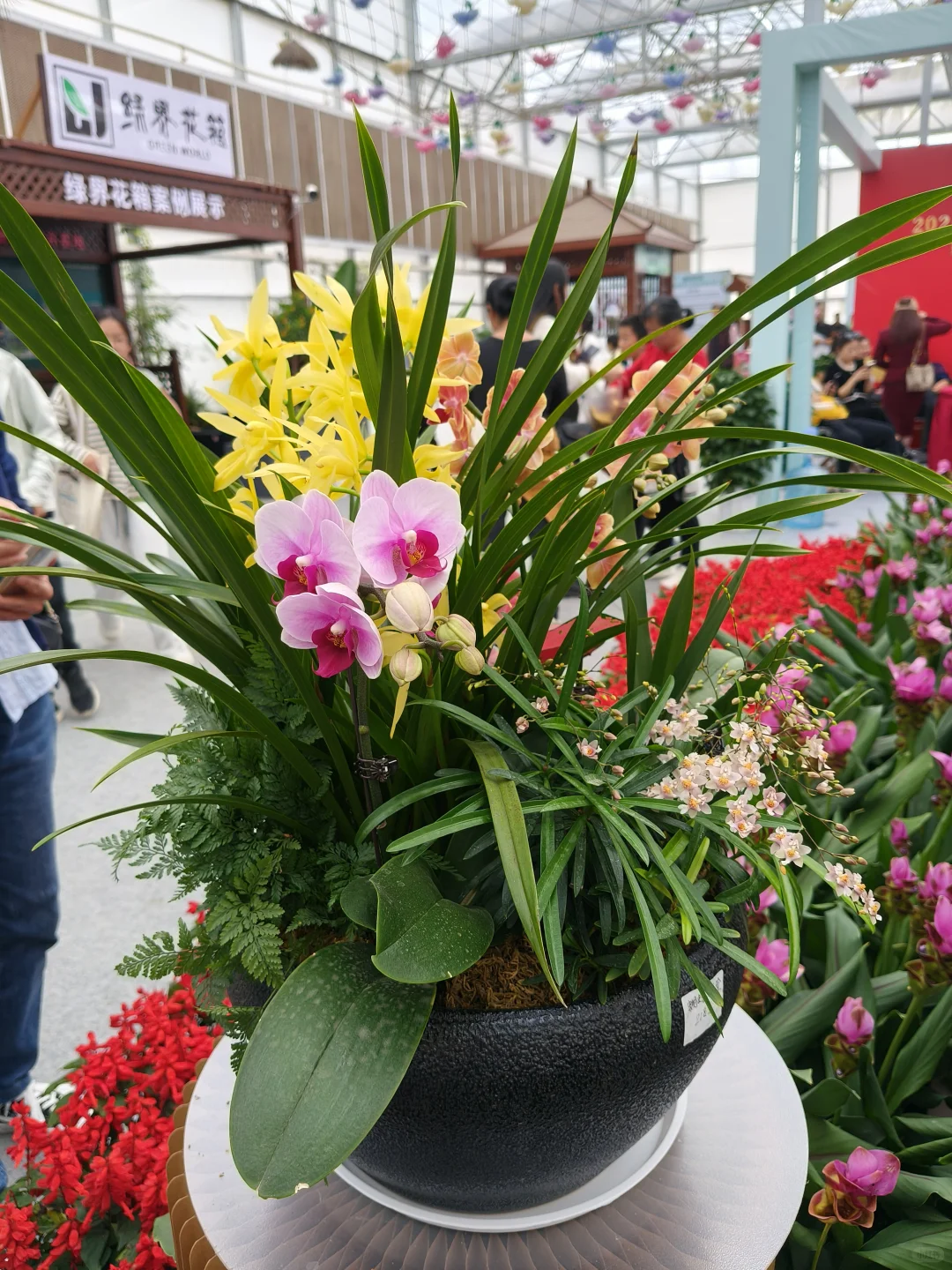 桂花公社花卉展，桂花香