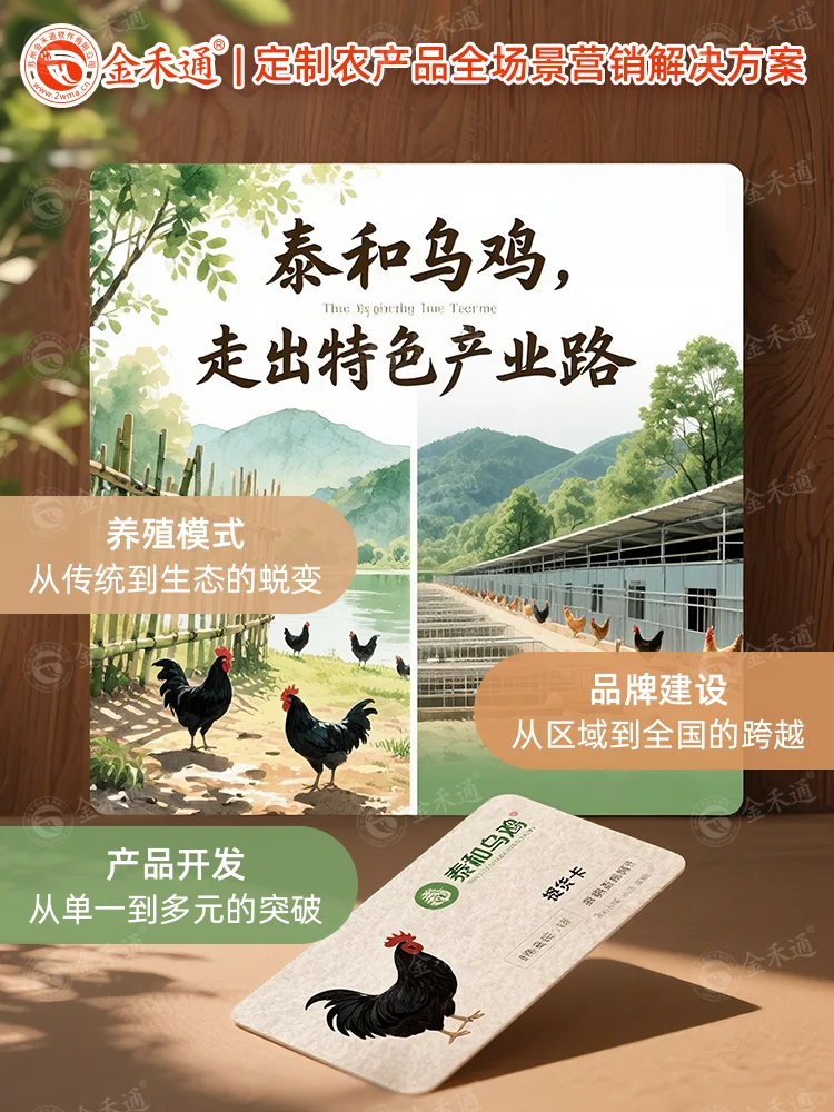 泰和乌鸡,走出特色产业路