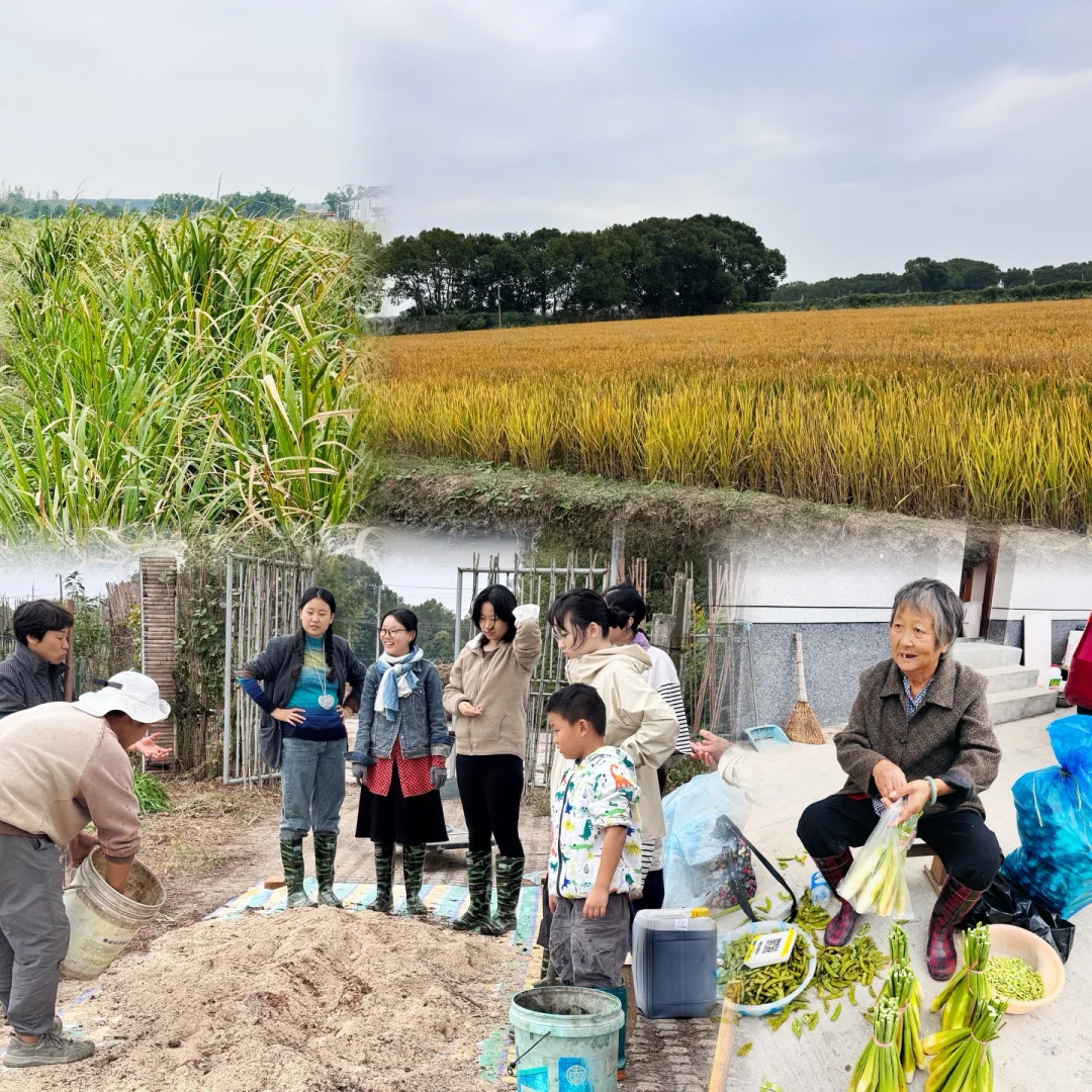素然大田 | 第一届三好交易会太棒啦?