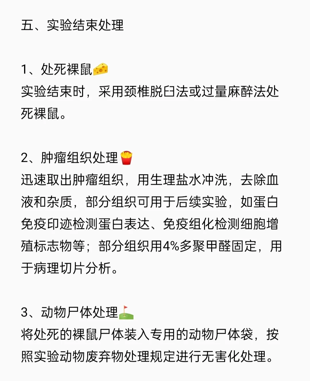 裸鼠成瘤实验流程