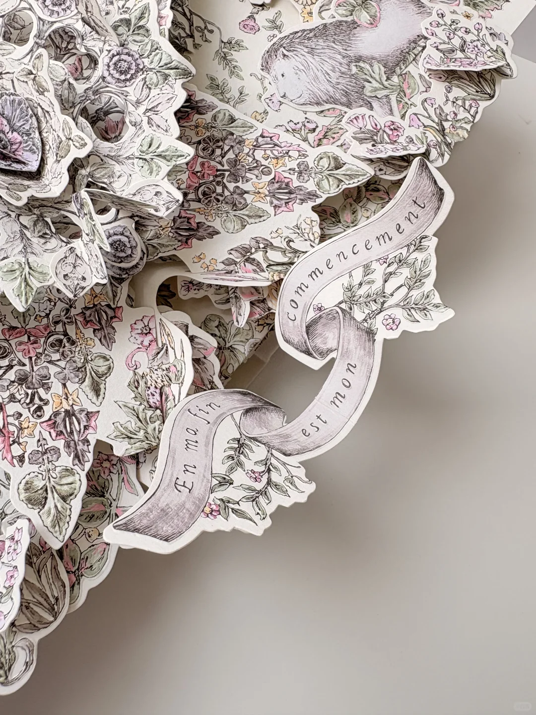 终于收到了这本迪奥立体书