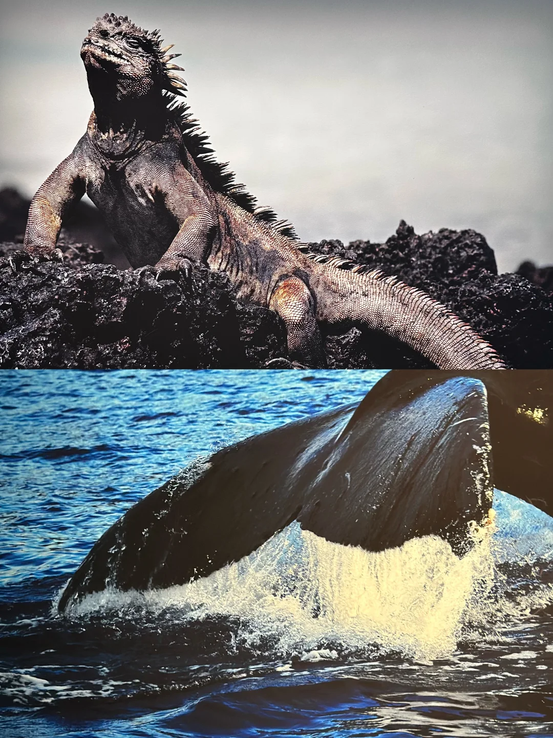 限时免费|Prada荣宅竟隐藏艾美奖提名摄影展