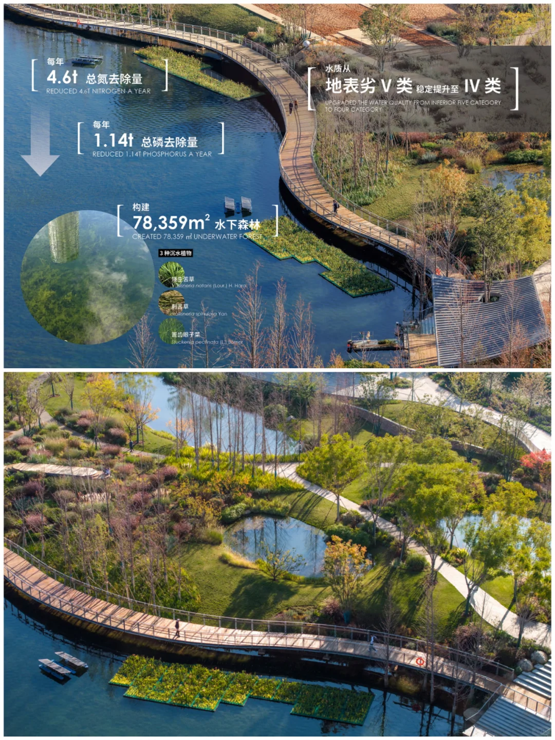 典型案例：昆明“两湖”水环境整治生态建设