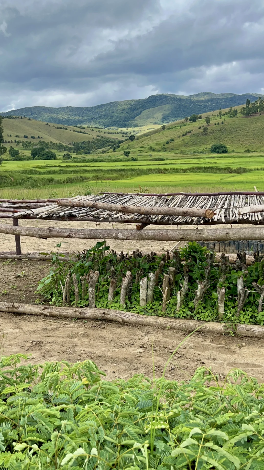 入行两年，生态保护的理想和痛苦的现实