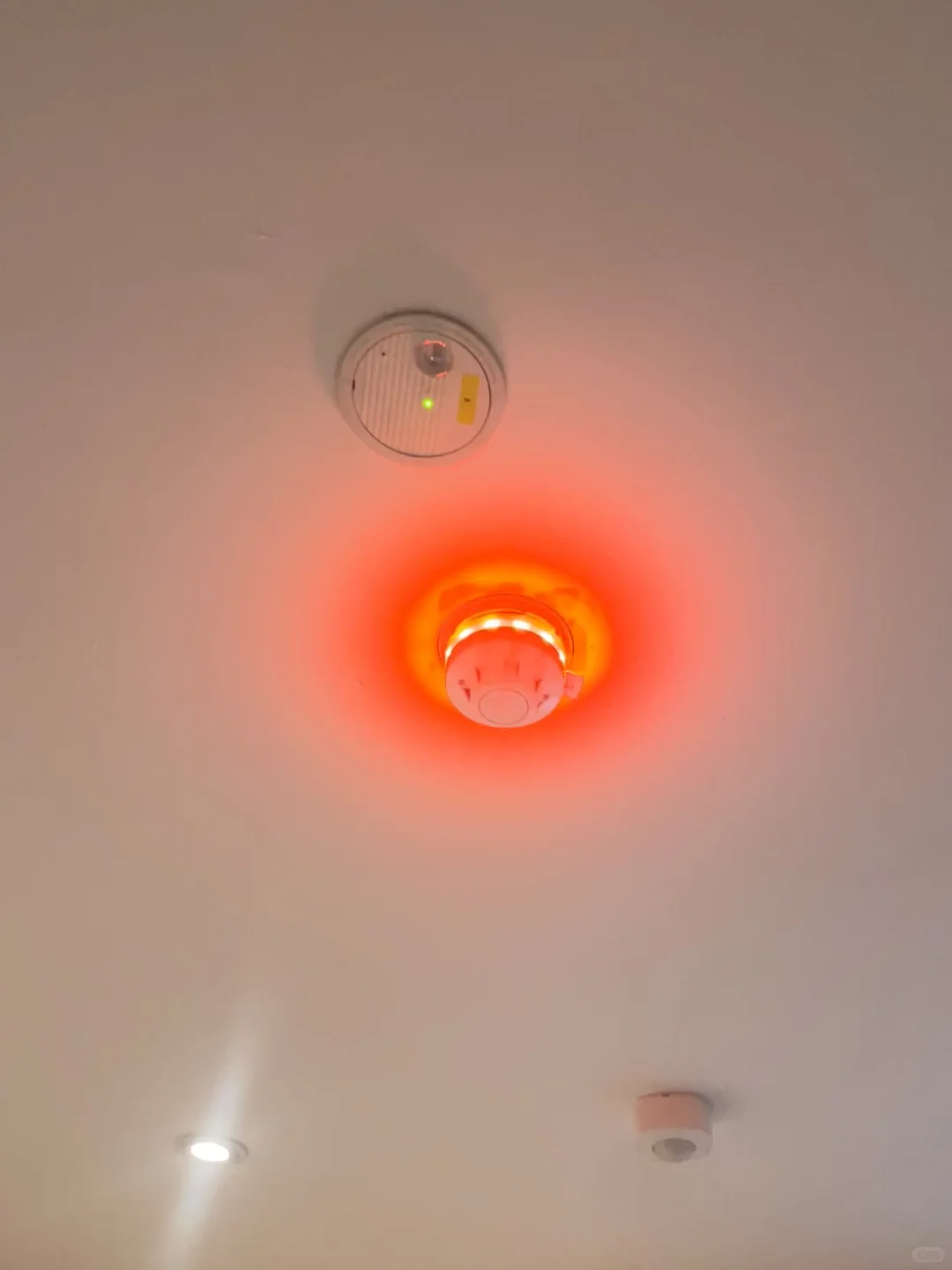 留子开学第一吓，火警狂响