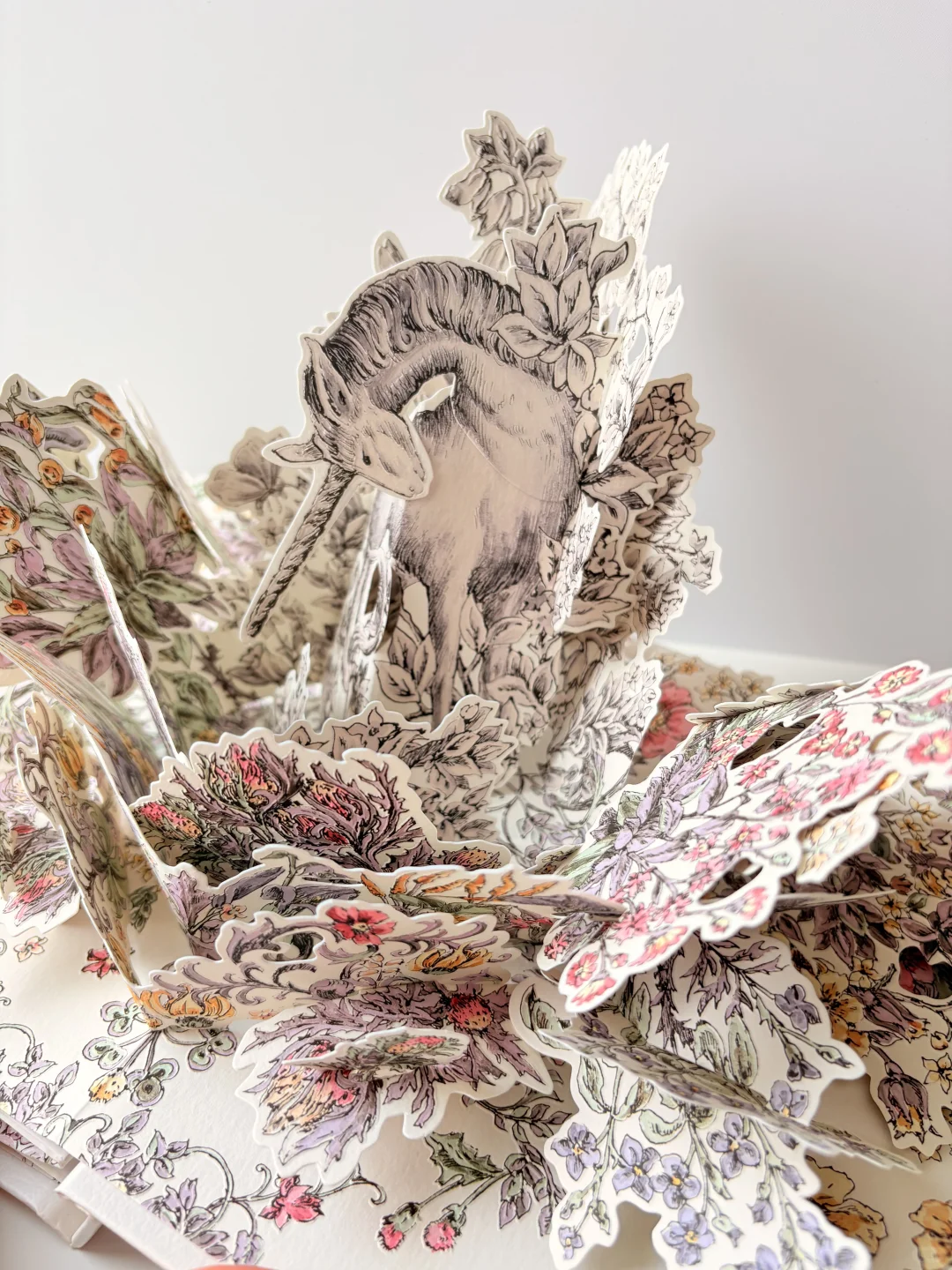 终于收到了这本迪奥立体书