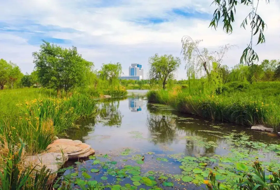 水环境生态修复的主要措施有哪些？