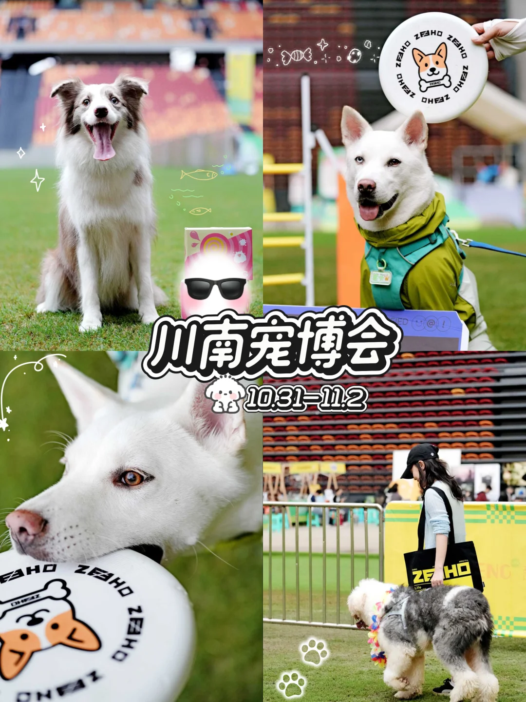 川南宠博会！泸州！太多可爱的毛孩子啦