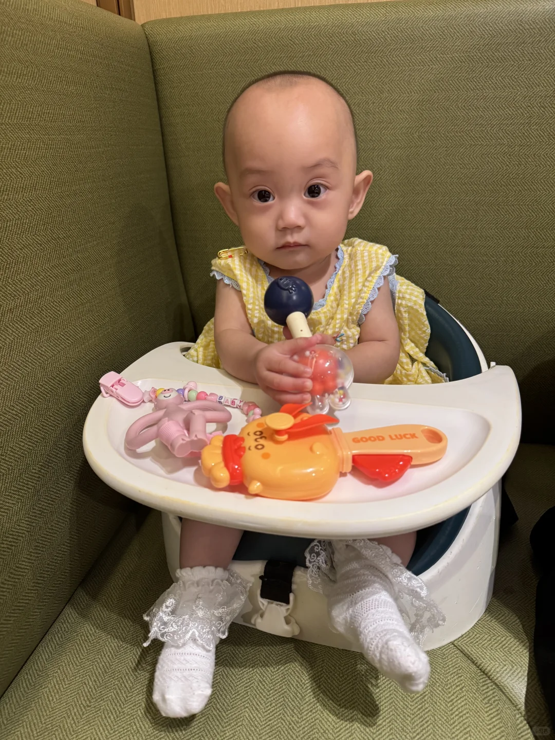 海底捞你也太宠她了吧