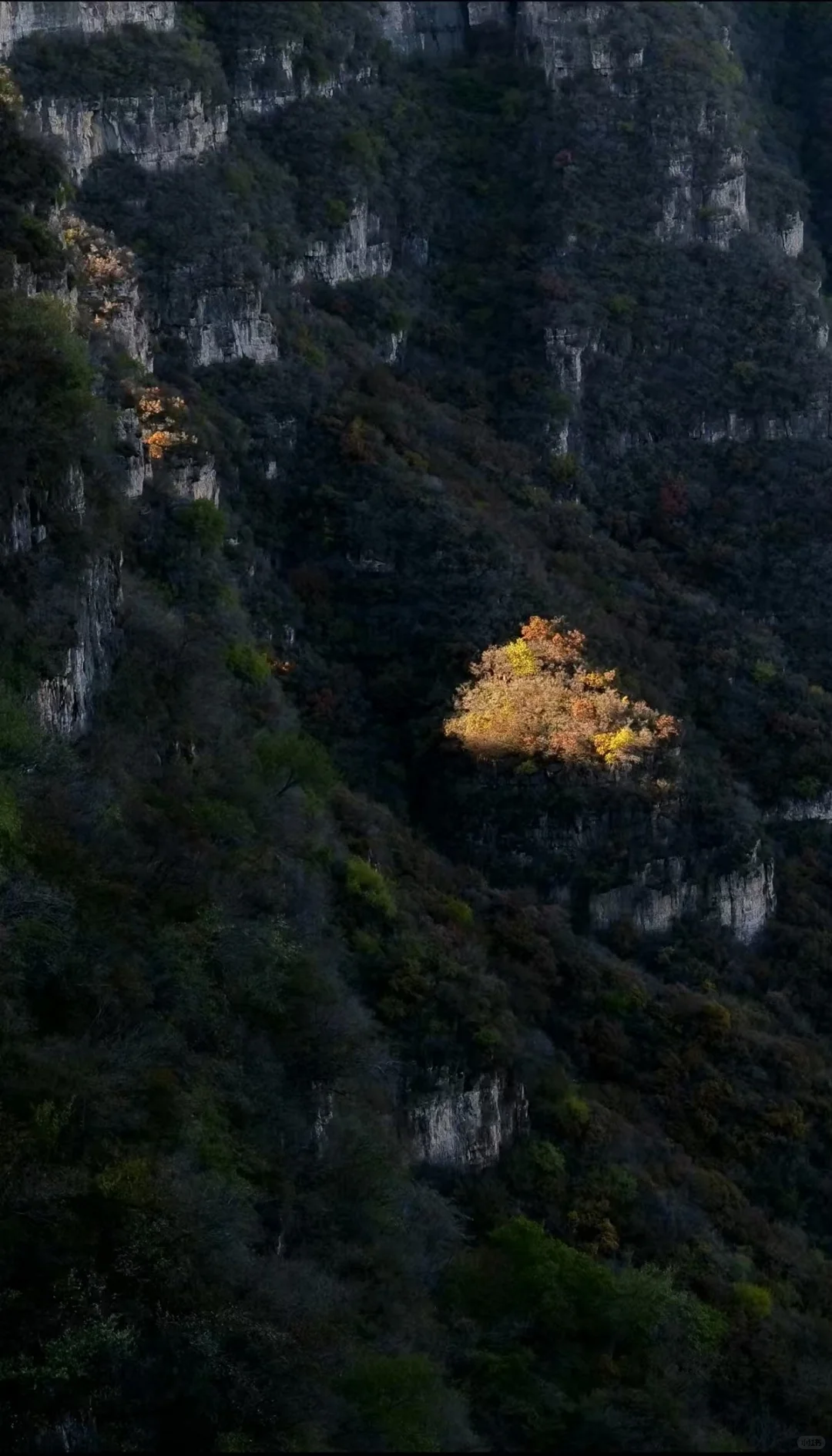 北京2h达！蚕姑坨悬崖边日照金山的秋日秘境