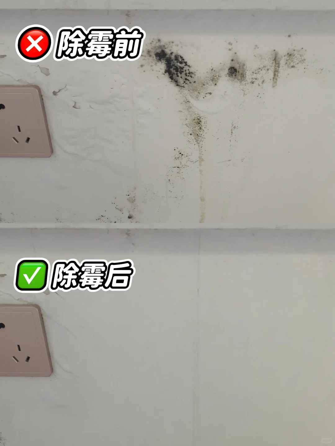 北京洪水墙面泡发霉了！！