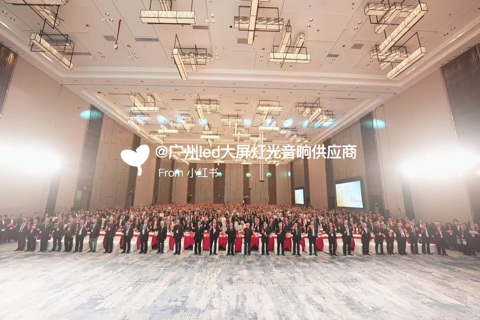 南海侨·世界桥|全球同心,共赴盛会✨