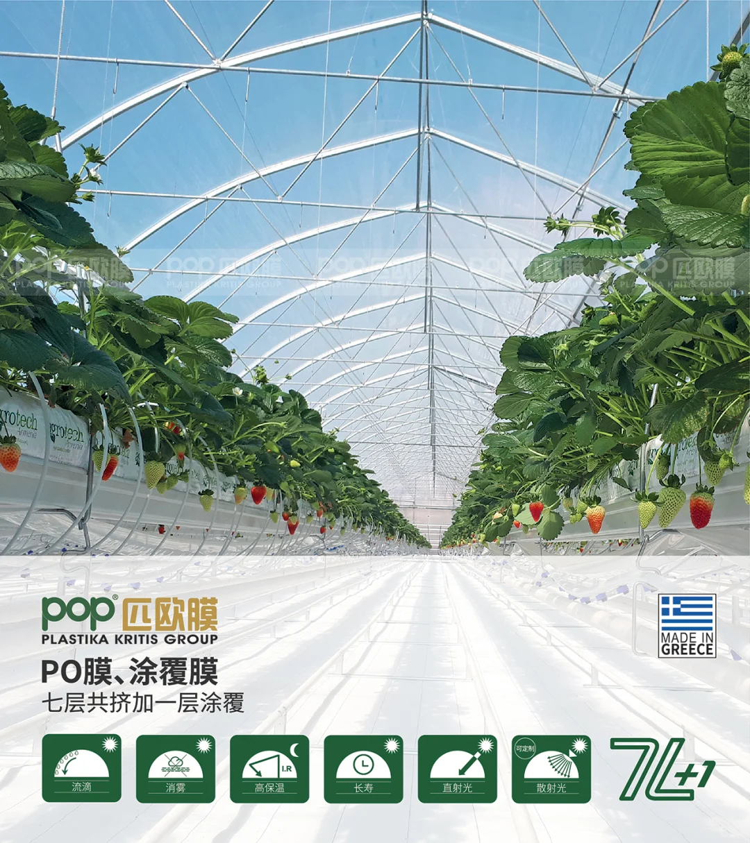 温室大棚膜知多少