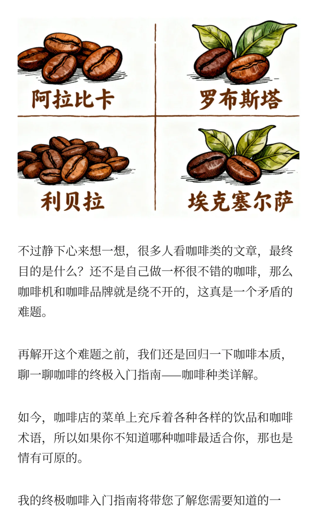 终极咖啡入门指南-咖啡种类详解
