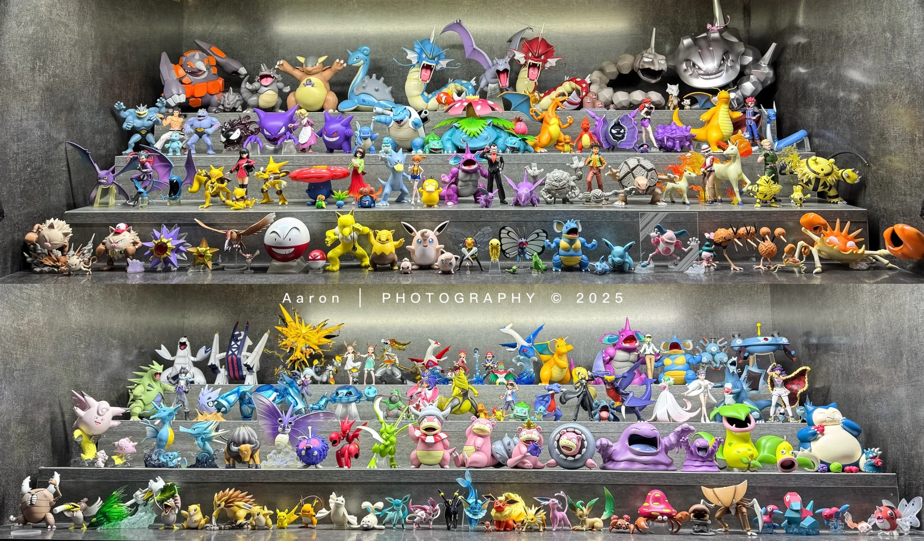 【随拍】宝可梦-1:20-合集