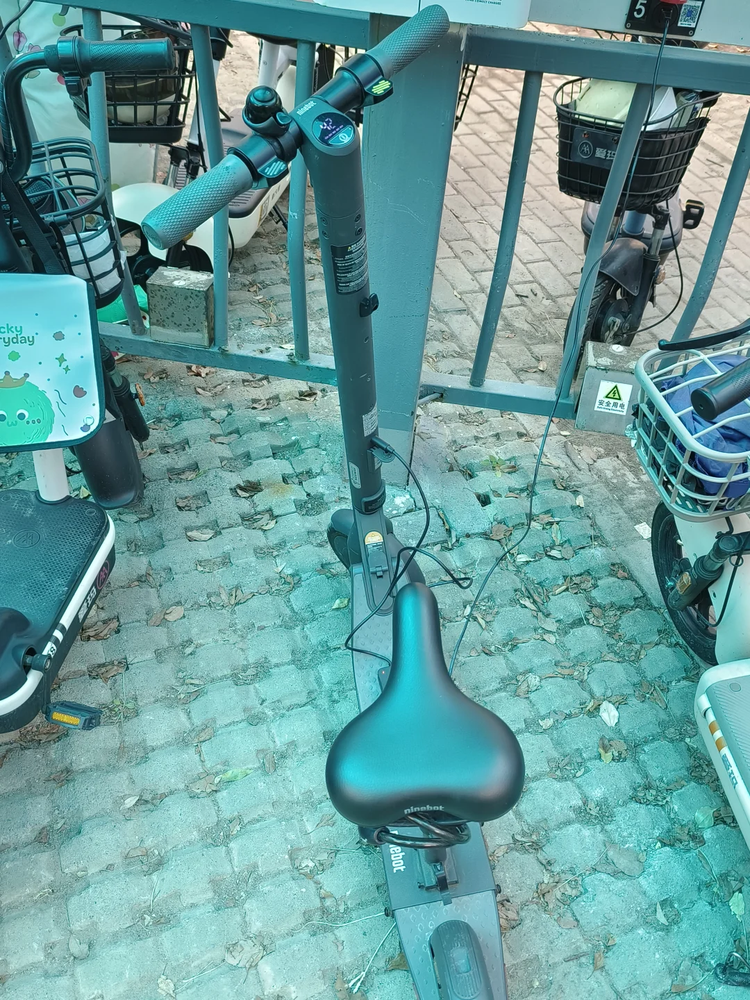 研二忙忙忙里偷闲