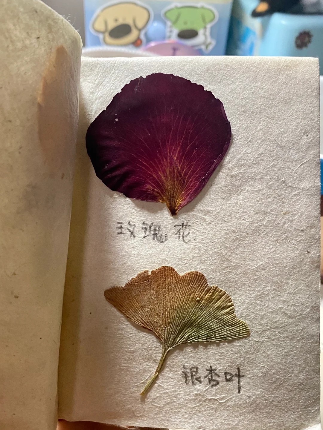 当亲眼看到薄膜干涉时，世界都静止了