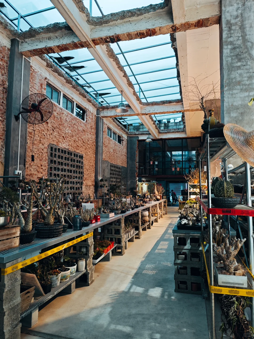 植物买手店和植物加工厂