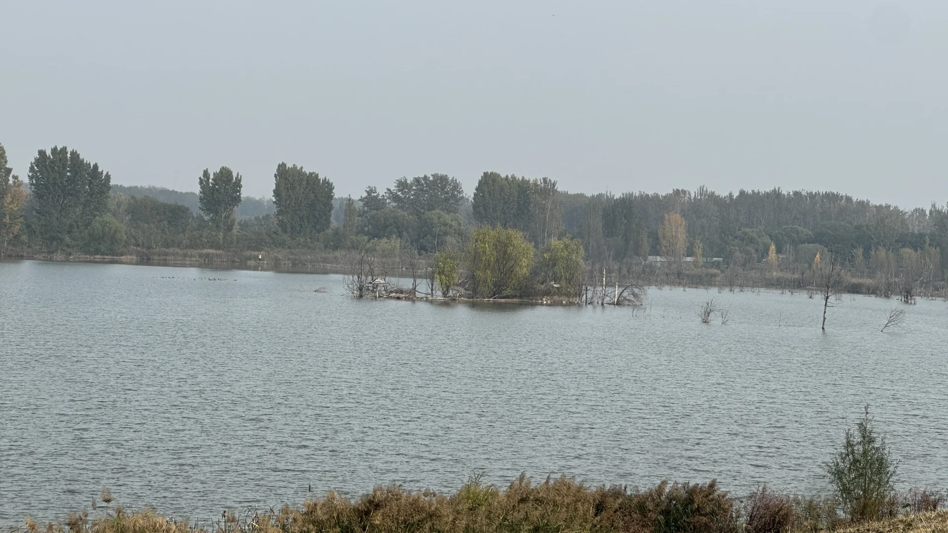 销售不是体面,是一场又一场“社死”修炼