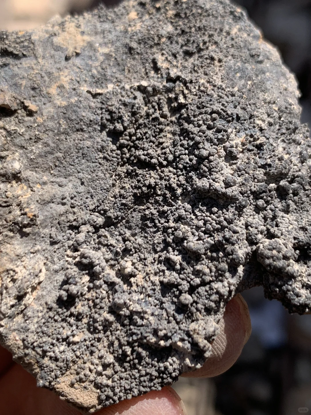 大家看看我在铝土矿里发现了啥