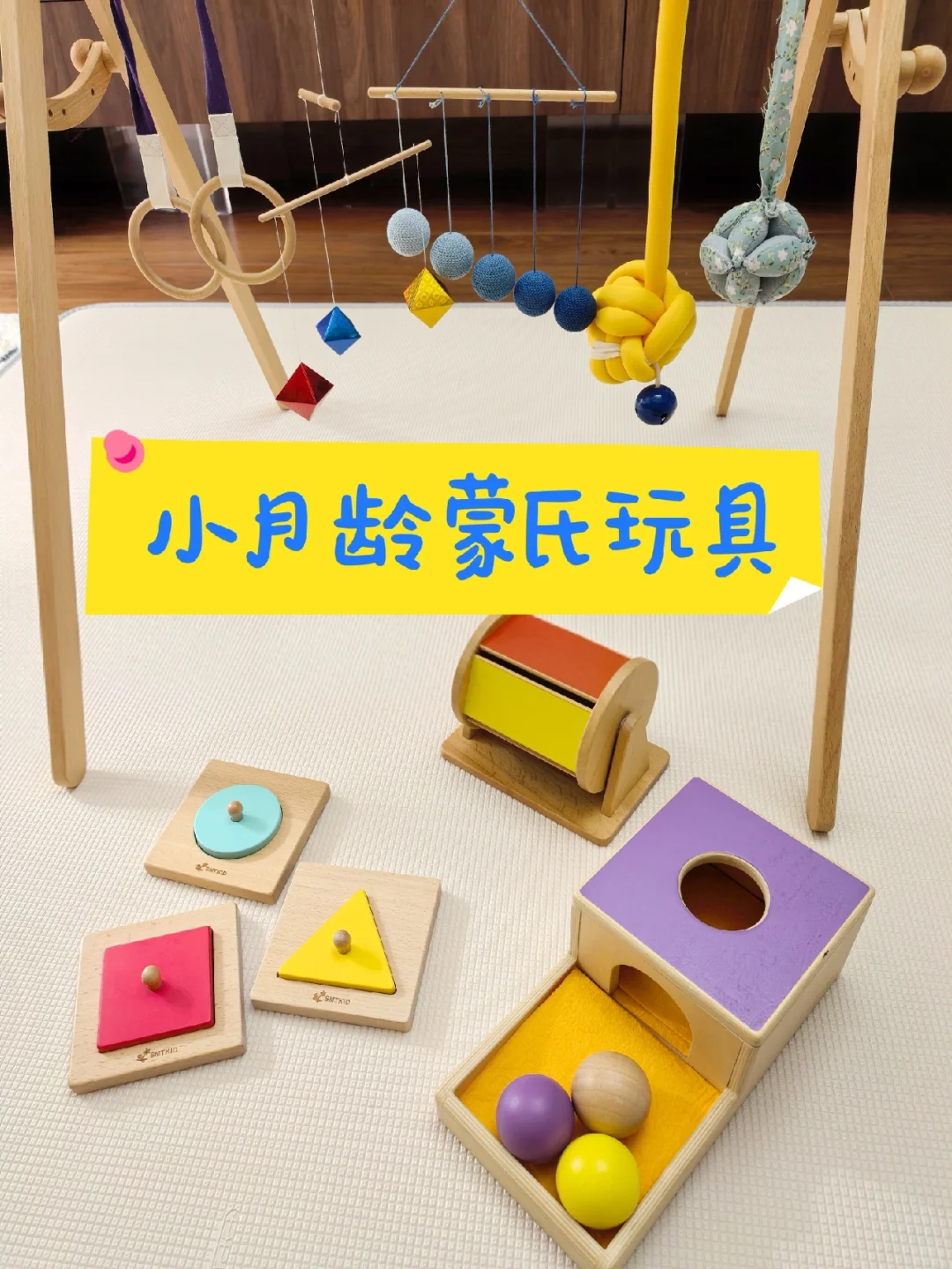 小月龄蒙氏玩具（精华版）