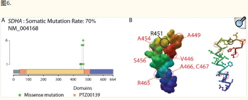 Var∣Decrypt：探索全外显子组变异及优先级