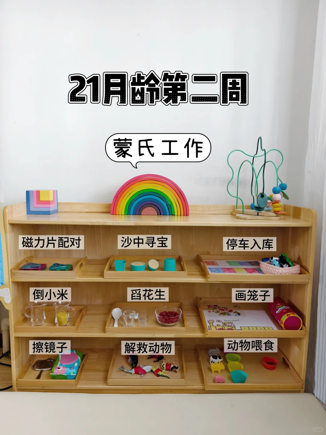 蒙氏早教|21月龄第二周工作|玩具
