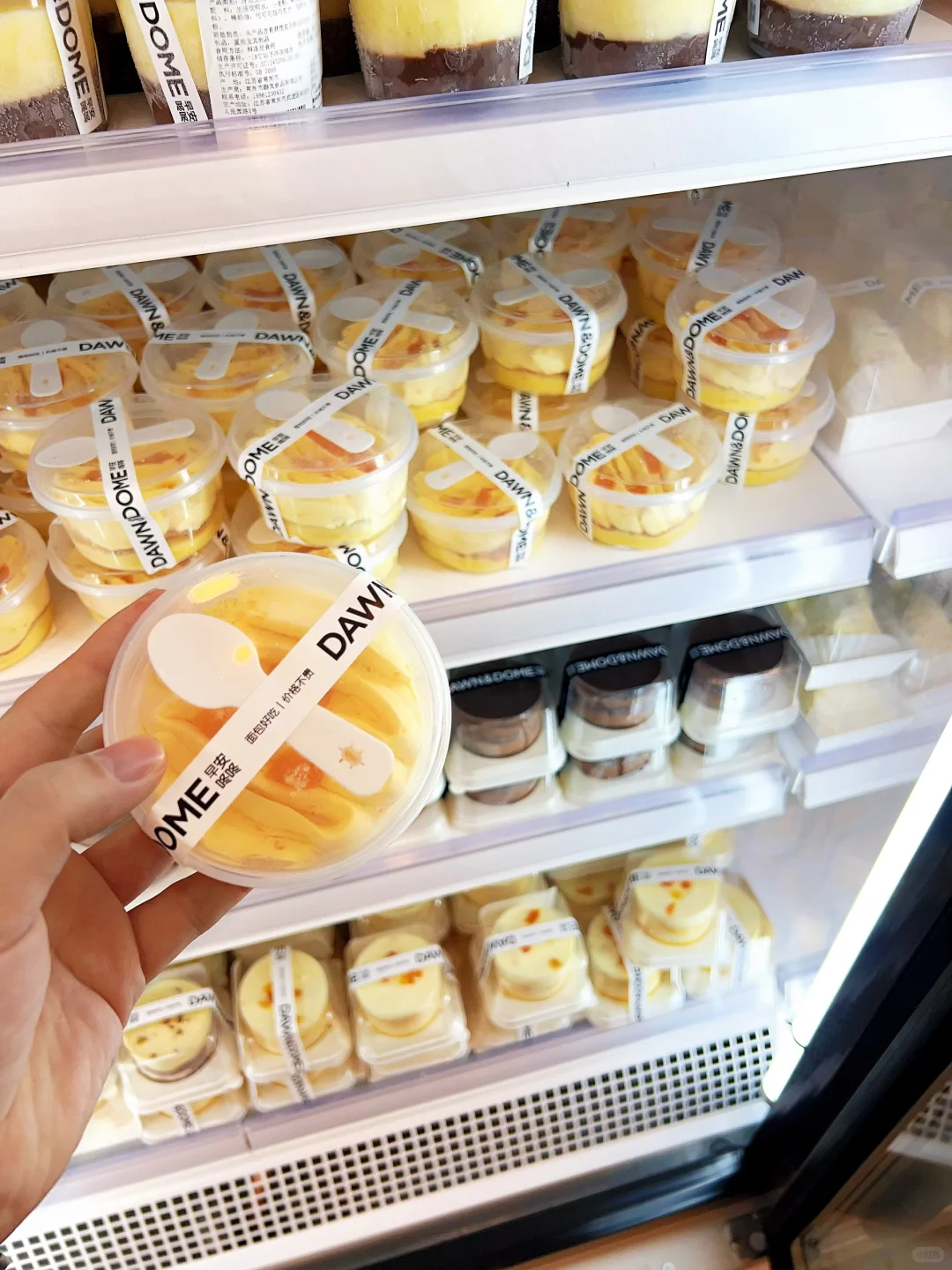 打卡常州网红蛋糕店 早安叮咚