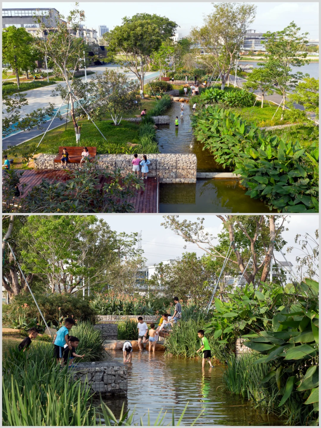 生态石笼梯级湿地在城市河道的妙用