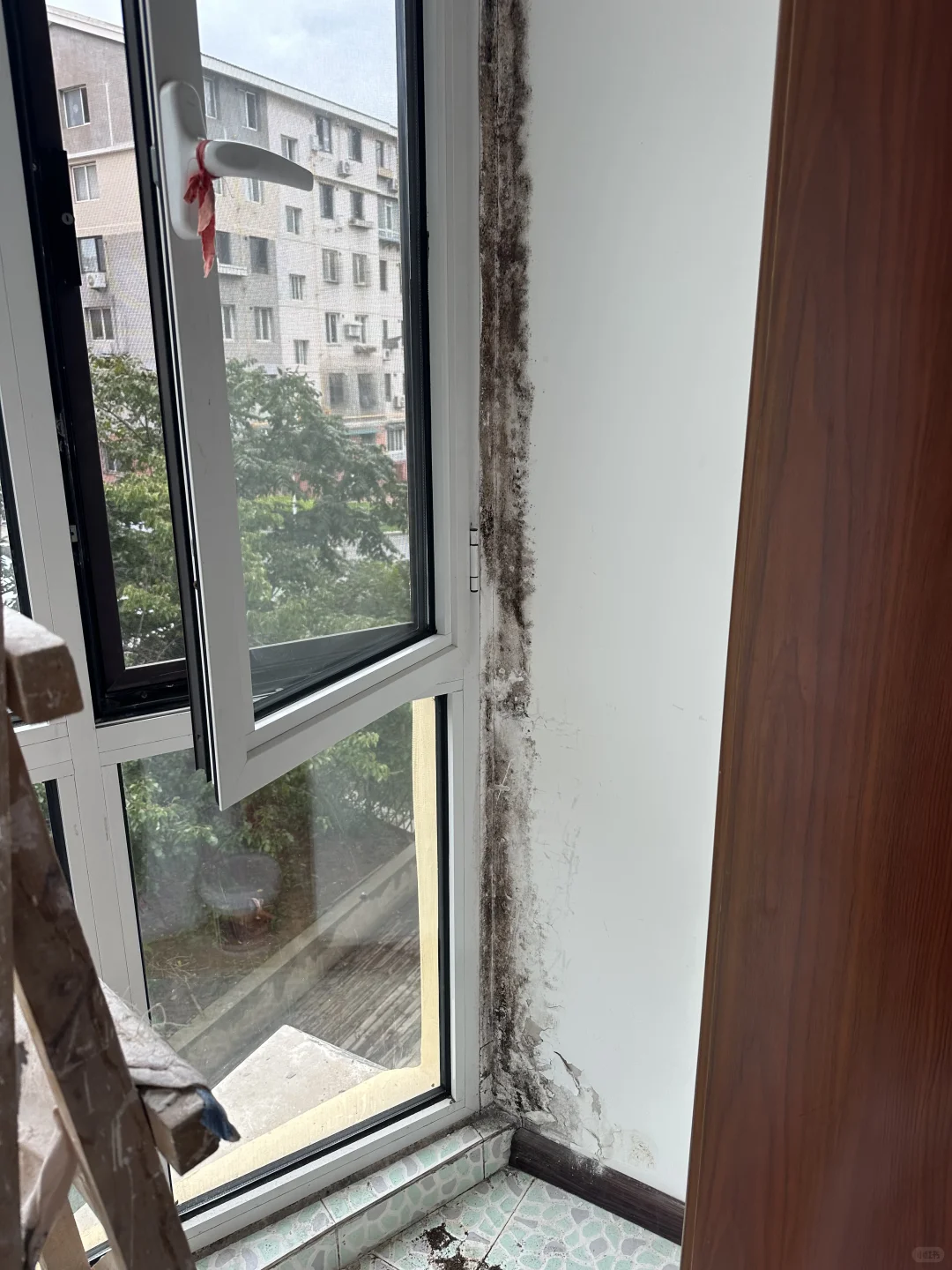 大白漏水发霉起皮脱落怎么处理效果好