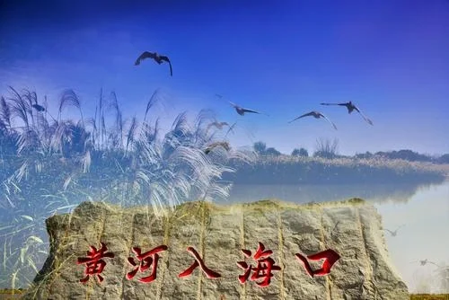 黄河生态环境保护，刻不容缓！！