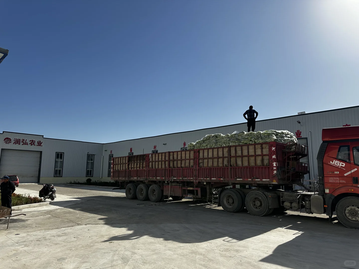 ?速冻蔬菜工厂大公开！让生鲜蔬菜更方便