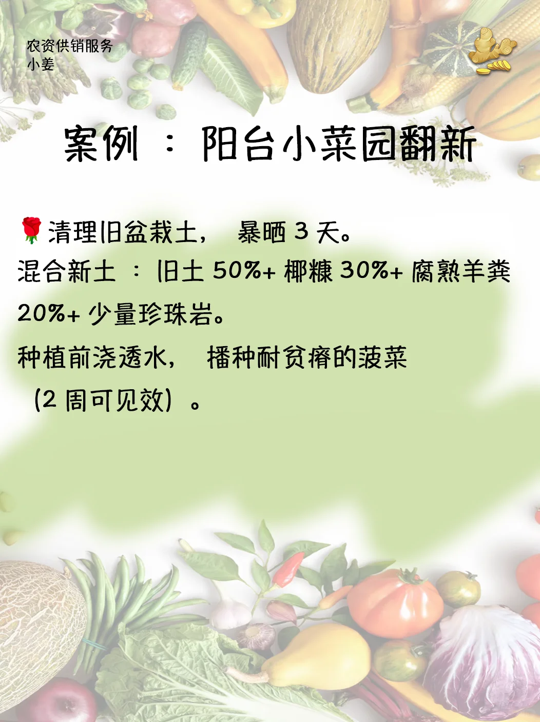 ?【总结篇】小菜园旧土翻新判断及处理