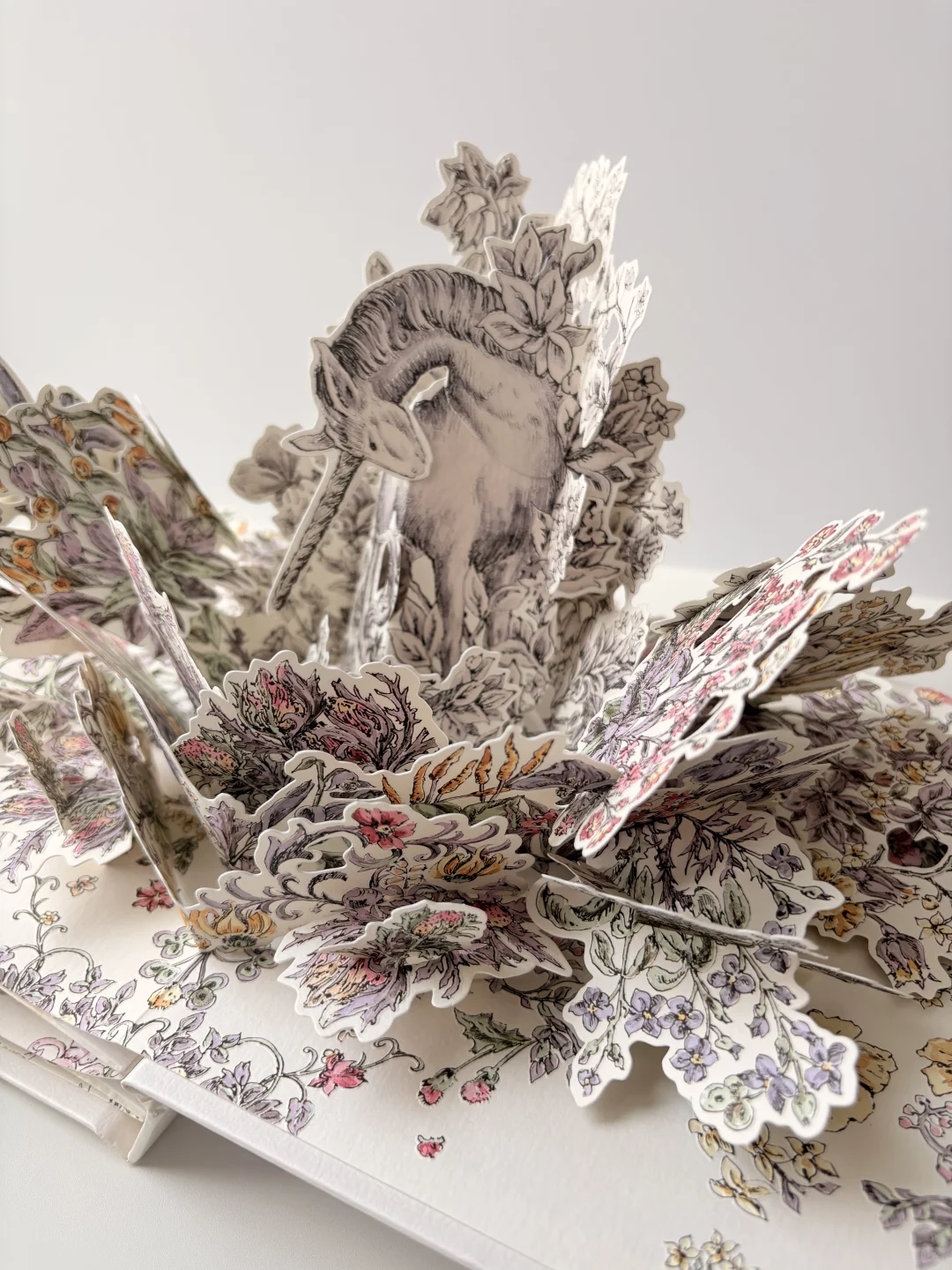 终于收到了这本迪奥立体书