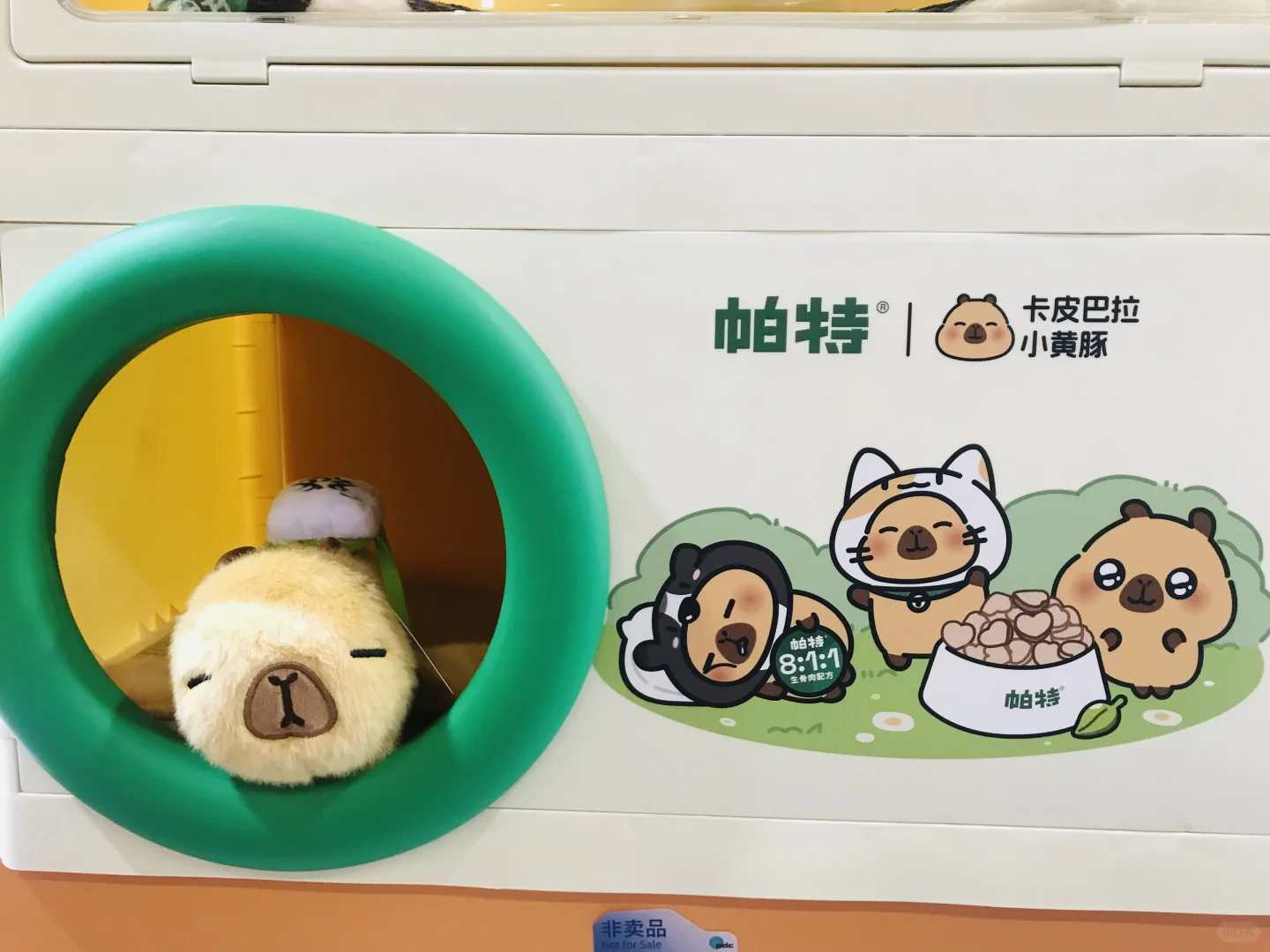 原仓亮相第138届广交会,快来围观打卡呀