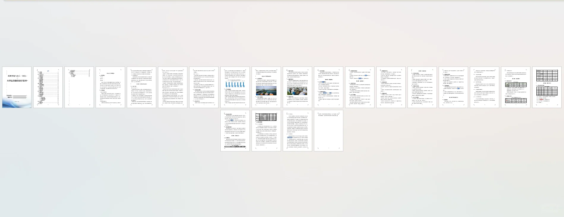 海鲜养殖与加工一体化大学生创新创业计划