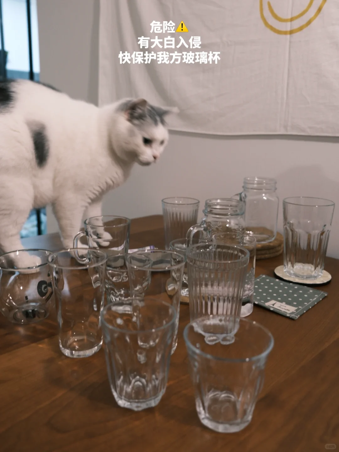 帮你整理好了！平价好用的经典款咖啡玻璃杯