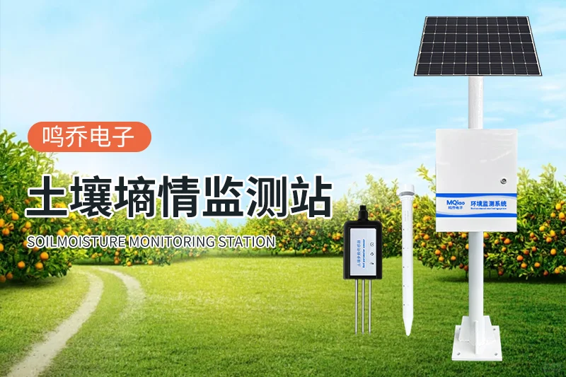 土壤水分温度测定仪：监测土壤环境科技利器