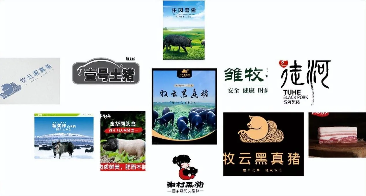 这篇文章告诉你市面有哪些黑猪品牌值得信赖